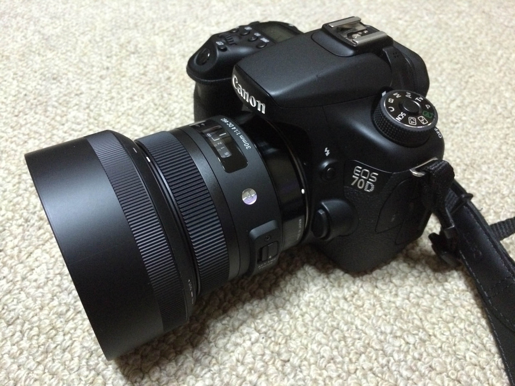 SIGMA 30mm F1.4 DC HSM| Artレンズ Canon-