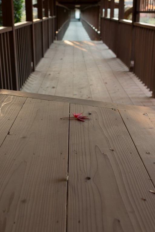 本土寺　廊下　紅葉