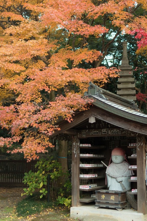 本土寺　お地蔵さんと紅葉