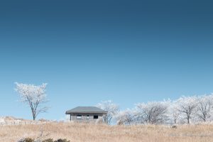 高ボッチ高原