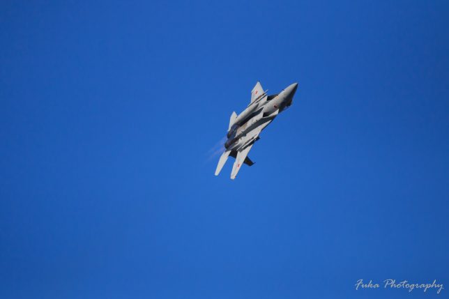 入間航空祭 2017 F-15J
