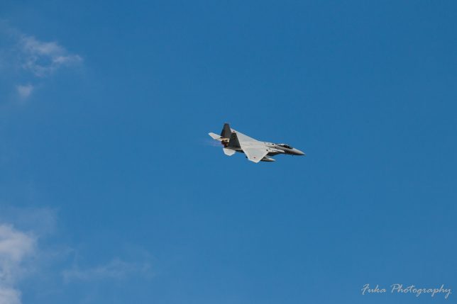 入間航空祭 2018 F-15J