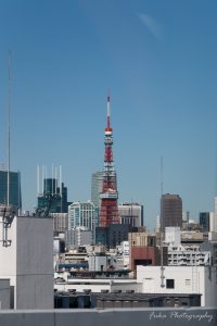 首都高速から見た風景　東京タワー