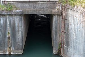 坂川と江戸川の合流地点（？）