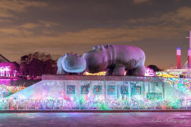 東武動物公園 ウインターイルミネーション2021-2022 カバ像