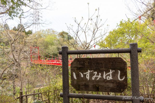 泉自然公園 いずみばし