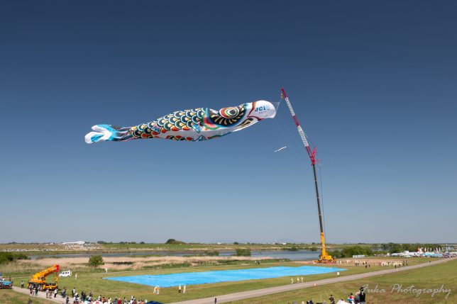 加須市民平和祭（ジャンボこいのぼり遊泳）2024