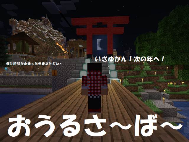 owl server top picture 20241231