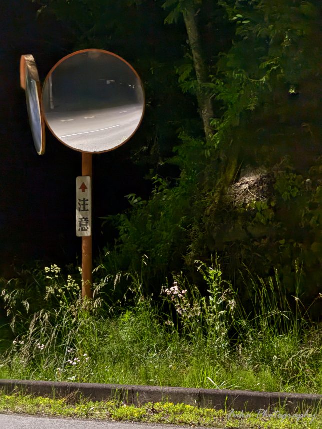 秩父 カーブミラー