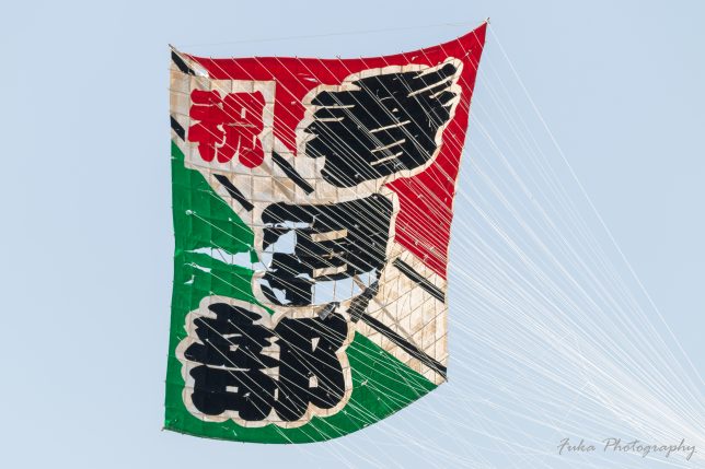 春日部大凧あげ祭り 2025