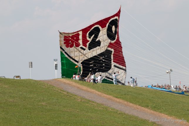 春日部大凧あげ祭り 2025