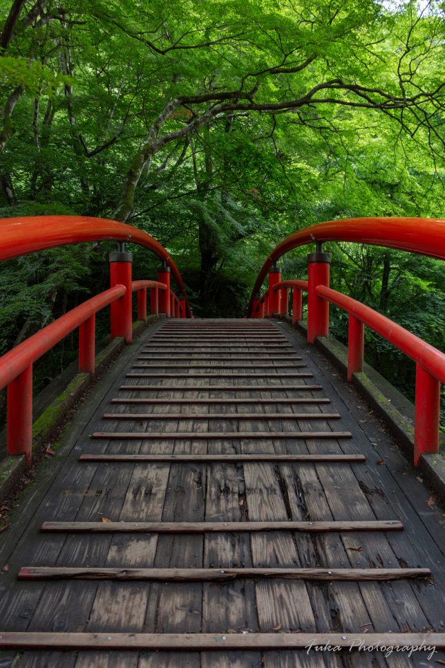 伊香保温泉湯元 河鹿橋
