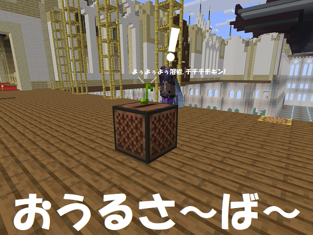 owl server top picture 20250807