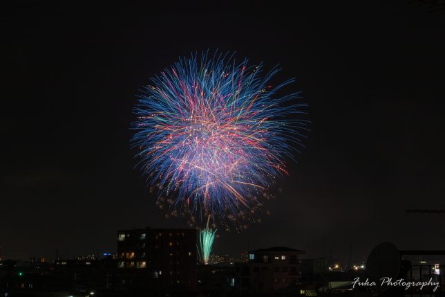 松戸花火大会2025
