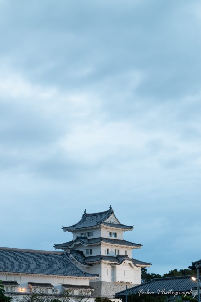 利根川大花火大会