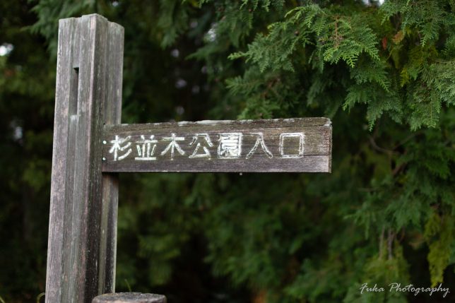 日光街道杉並木公園