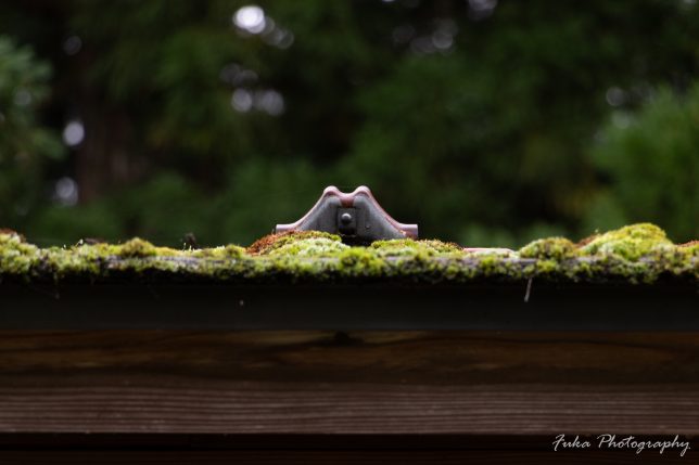 日光街道杉並木公園