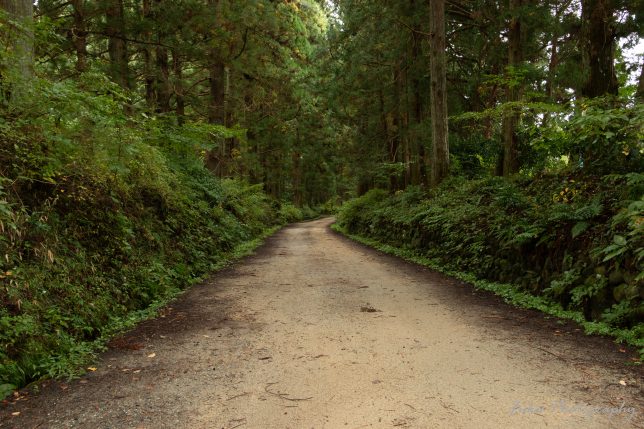 日光街道杉並木