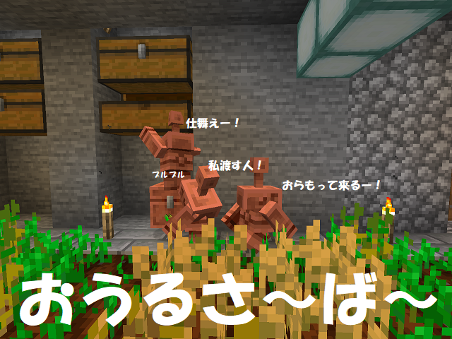 owl server top picture 20251001