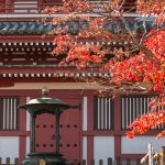 本土寺 紅葉 五重塔