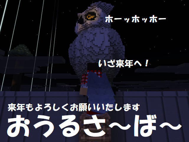 owl server top picture 20251228