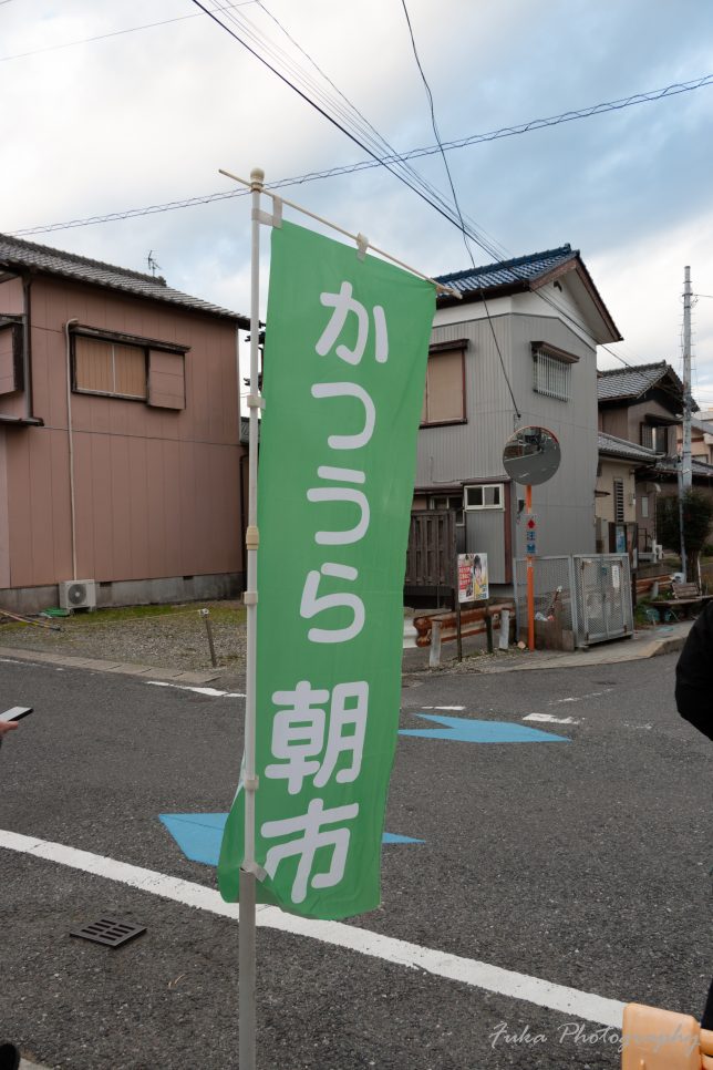 かつうら朝市