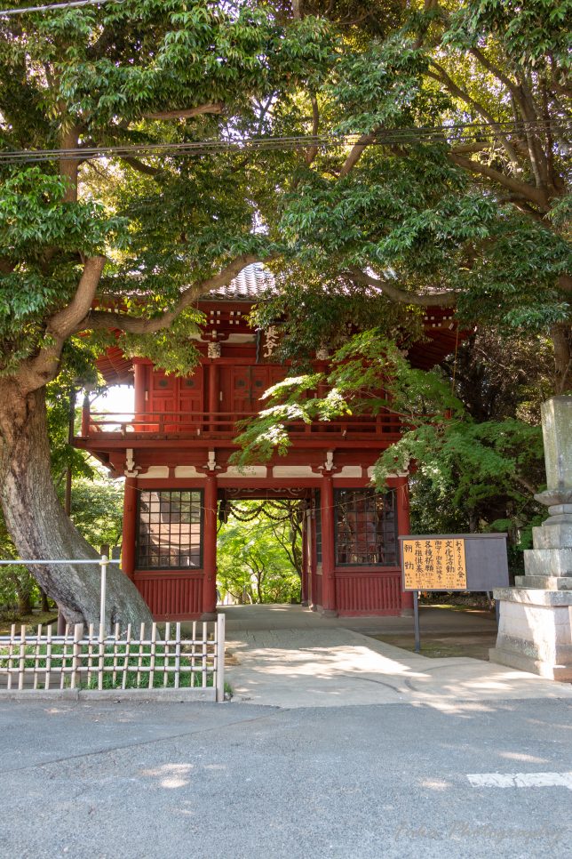本土寺 仁王門
