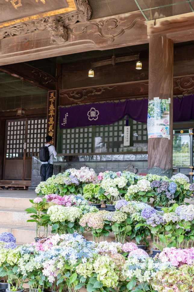 宗吾霊堂 宗吾霊堂大本堂