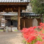 持法院 彼岸花